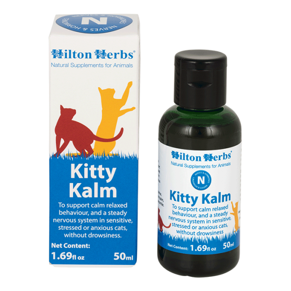 Kitty Kalm image